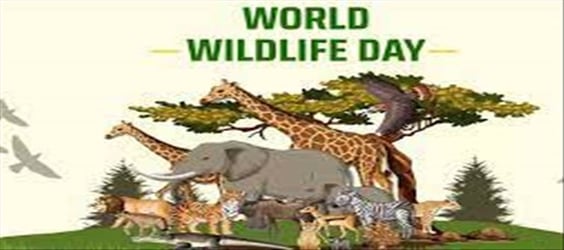 World Wildlife Day: All you need to know...
